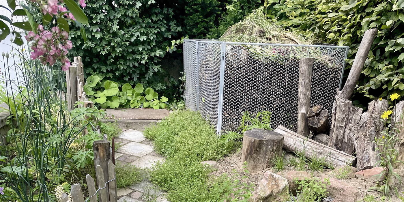 Ein offen gestalteter und begrünter Gartenweg. 